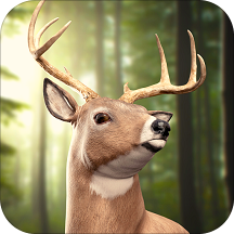 Джунгли Оленей Охотник 2019