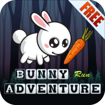 Bunny Run Adventure