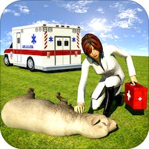 Animals Rescue Mission : Lady Doctor Games