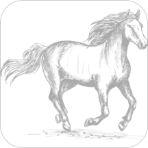 Horse Racing Latest News