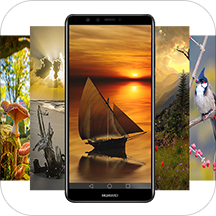 Wallpaper Nature | HD