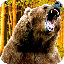 Animal Wrestling in Jungle