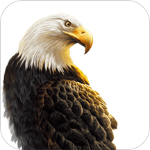 American Eagle Freedom Run