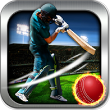 Cricket Champs League